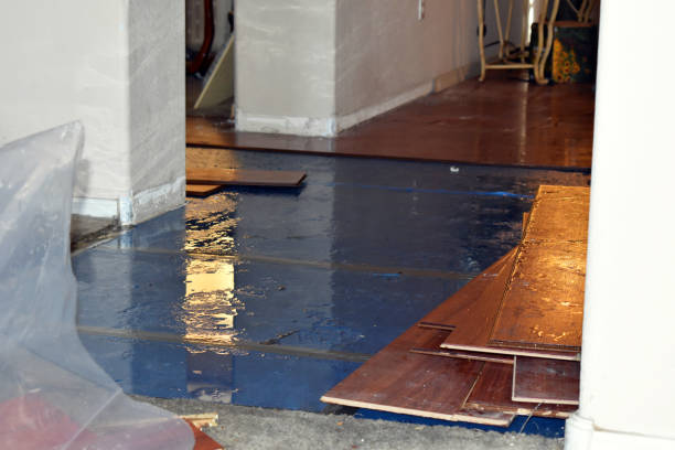 Professional Sewage Cleanup technician working in Oquossoc, ME